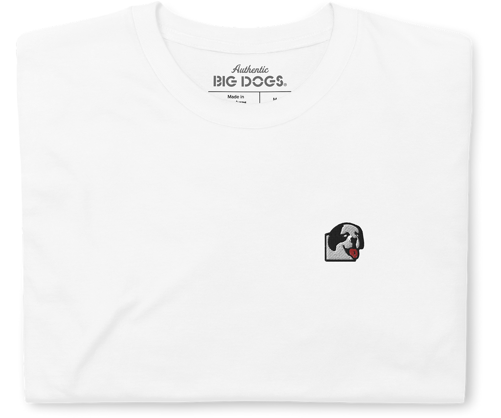 Logo Embroidered T-Shirt – Big Dogs