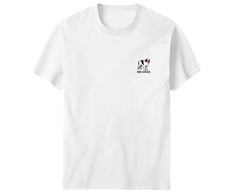 Santa Barbara Logo T-shirt