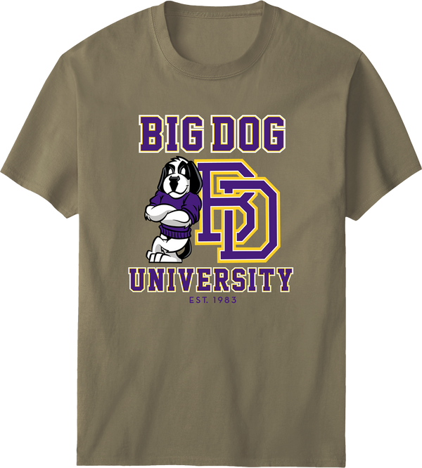 Bd University Purple Gold T-shirt