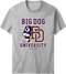 Bd University Purple Gold T-shirt