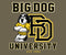 Bd University Black Gold T-shirt