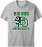 Bd University Green Gold T-Shirt