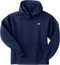 French Terry Fleece Embroidered Hoodie