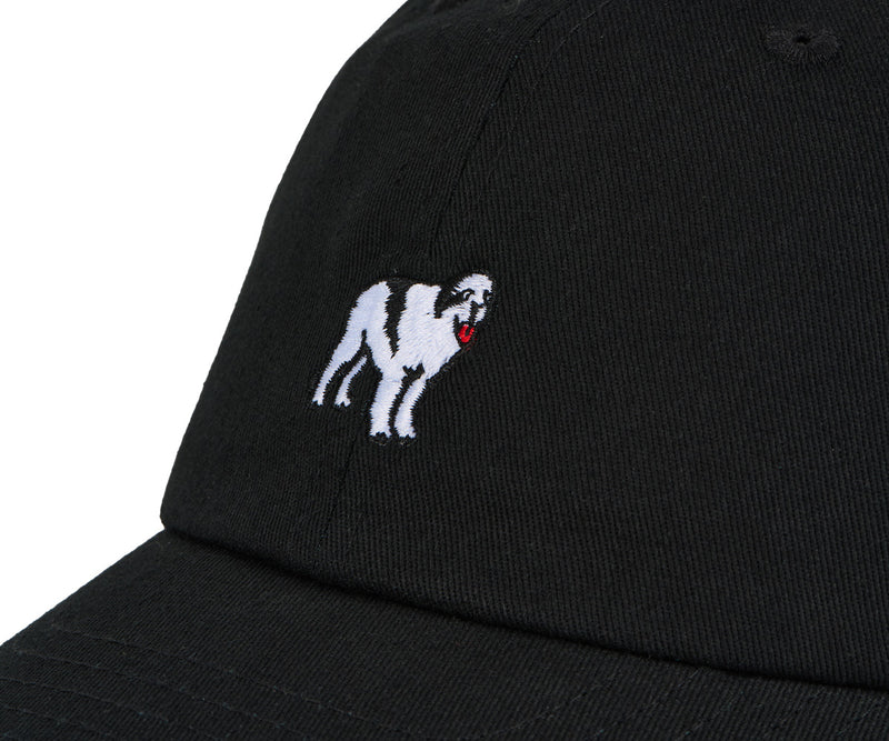 Dog Dad Icon Hat