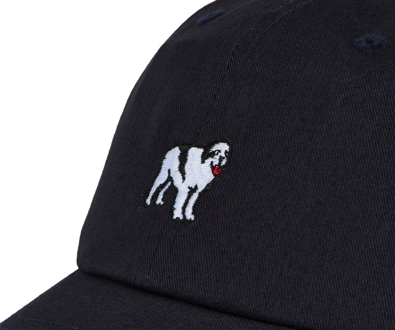 Dog Dad Icon Hat