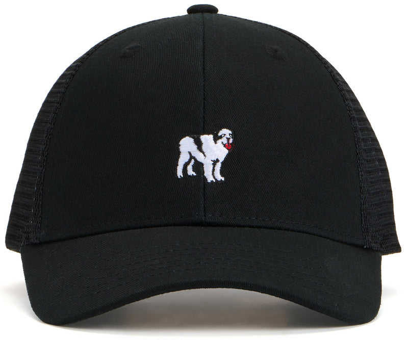 Icon Trucker Hat