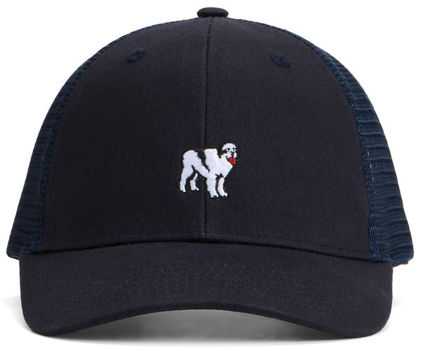 Icon Trucker Hat