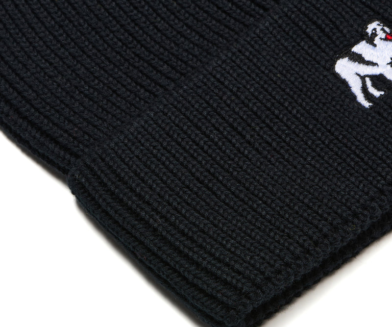 Icon Beanie