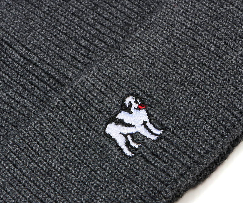 Icon Beanie