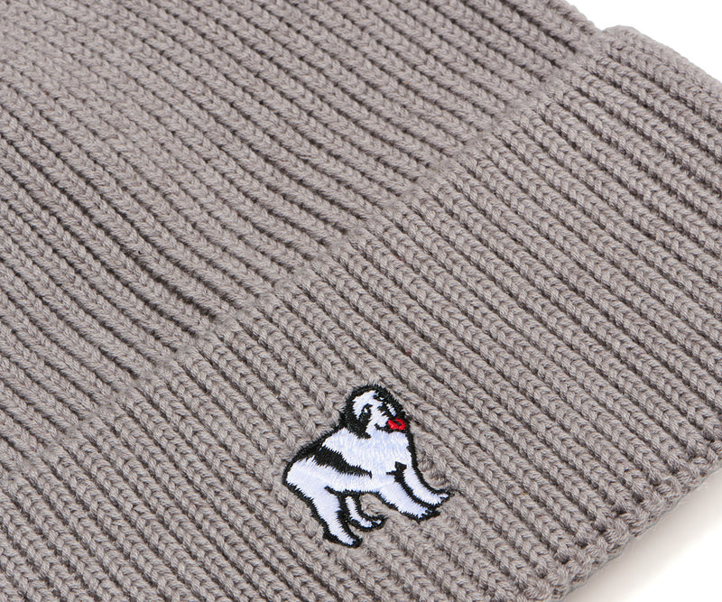 Icon Beanie