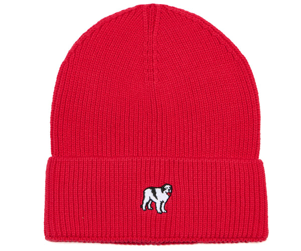 Icon Beanie