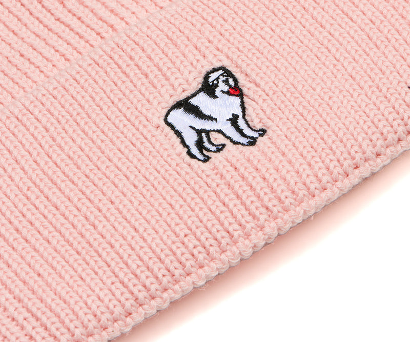 Icon Beanie