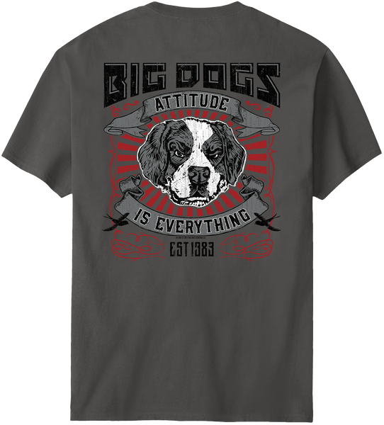 100% Attitude Chest Stripe T-Shirt – Big Dogs