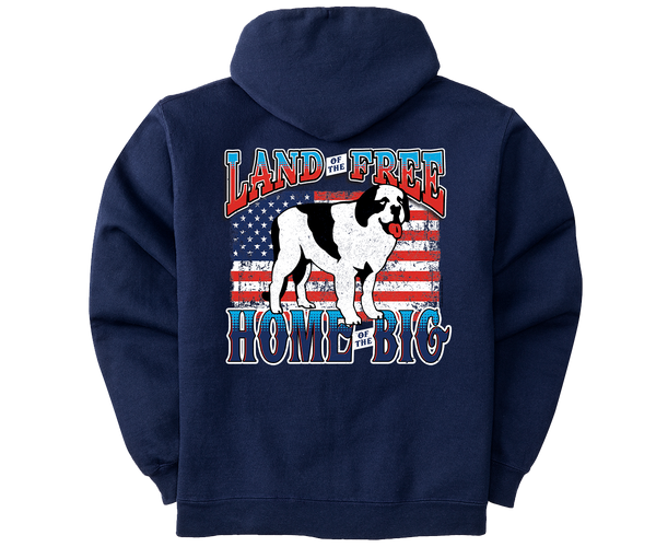 Big discount dog hoodie